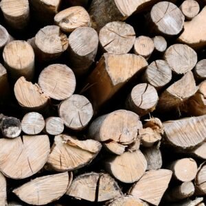 bois de chauffage ( vrac 100% charme g1/h1)