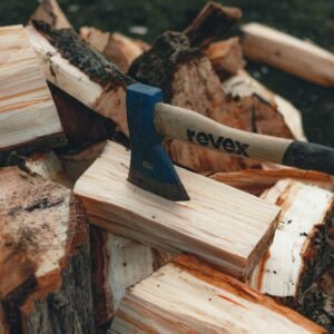 bois de chauffage ( vrac 100% fayard g1/h1)